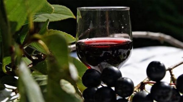 Вино Кагор — состав, полезные свойства и вред